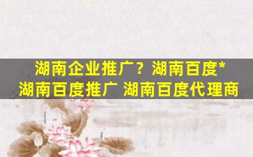 湖南企业推广？湖南百度* 湖南百度推广 湖南百度代理商